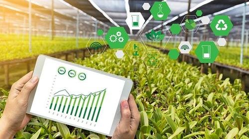 Analytics and Agriculture