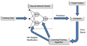 Neural Network Training