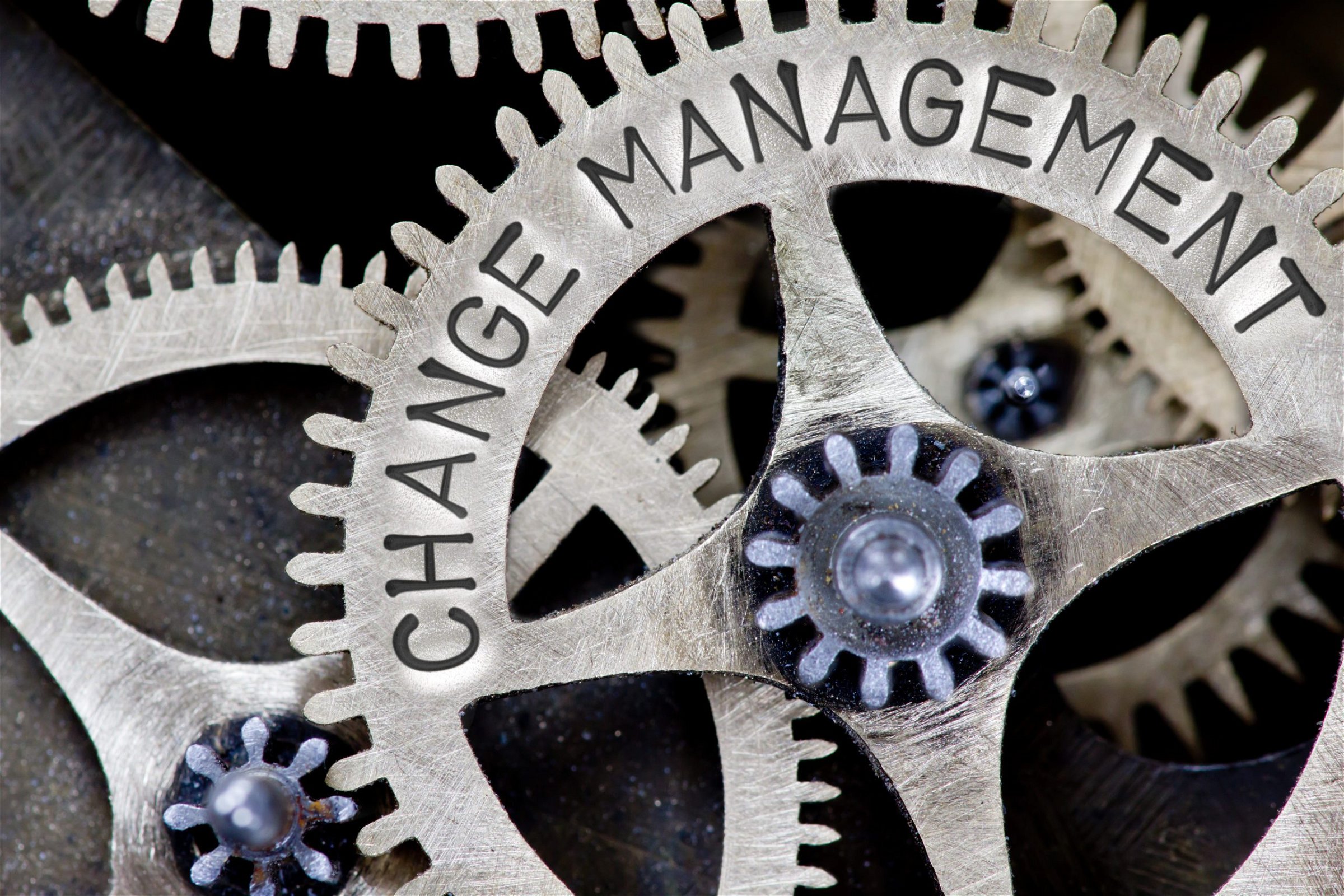 What are the Principles of Change Management