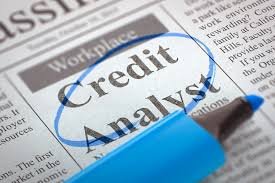 Credit risk analyst
