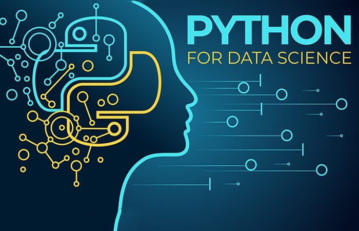 learn Python for data science