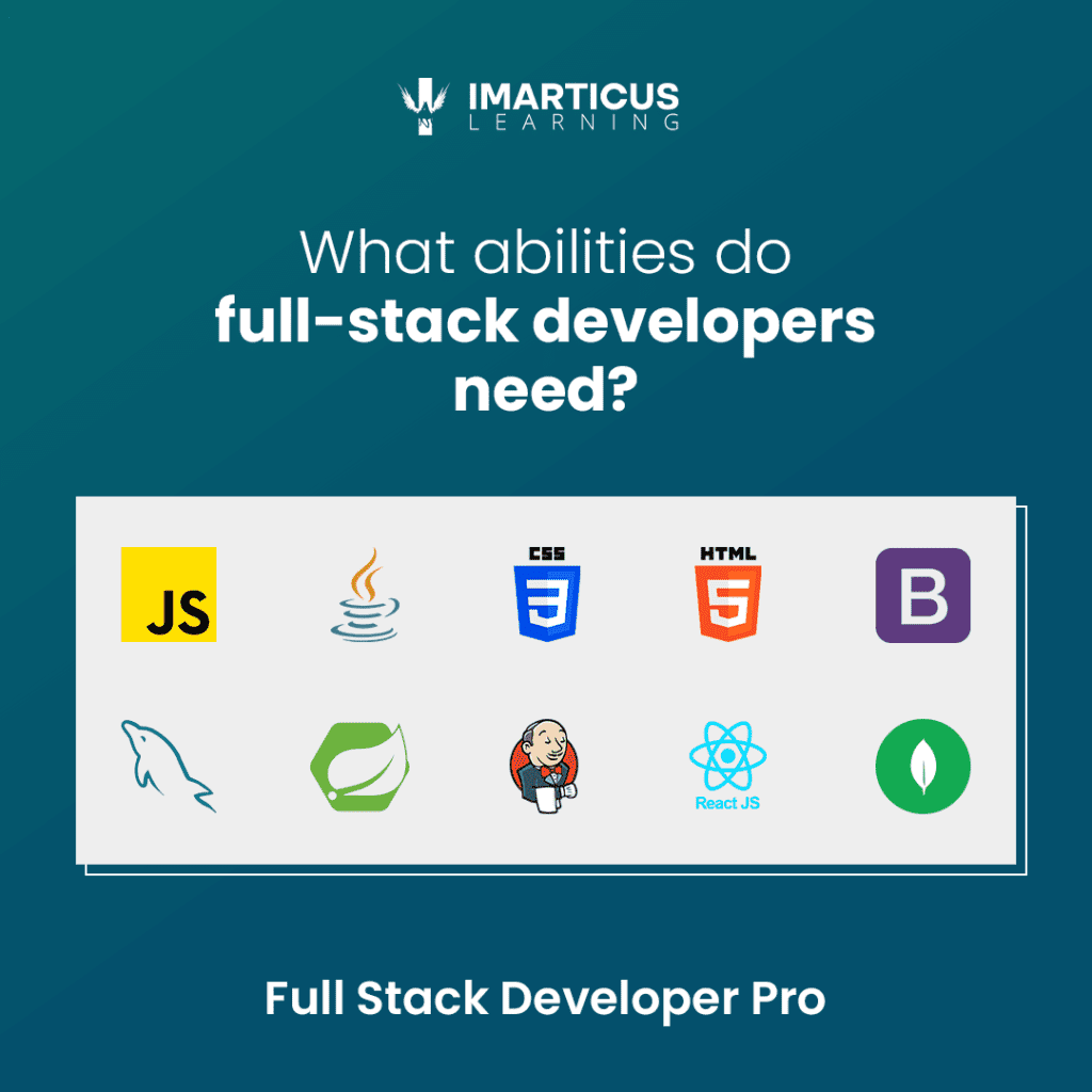 Full stack developers